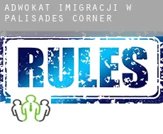 Adwokat imigracji w  Palisades Corner