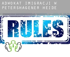 Adwokat imigracji w  Petershagener Heide