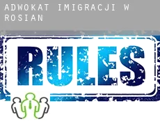 Adwokat imigracji w  Rosian