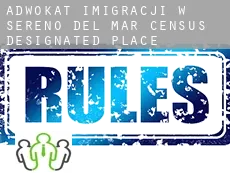 Adwokat imigracji w  Sereno Del Mar