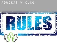 Adwokat w  Cucq