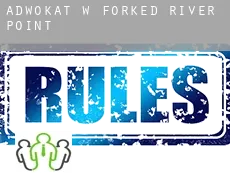 Adwokat w  Forked River Point