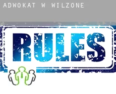 Adwokat w  Wilzone