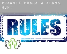 Prawnik praca w  Adams Hunt