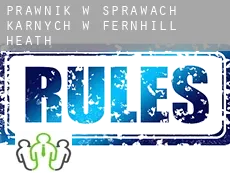 Prawnik w sprawach karnych w  Fernhill Heath