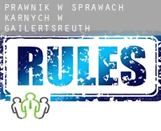 Prawnik w sprawach karnych w  Gailertsreuth