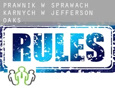 Prawnik w sprawach karnych w  Jefferson Oaks