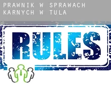 Prawnik w sprawach karnych w  Tula