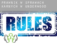 Prawnik w sprawach karnych w  Underwood
