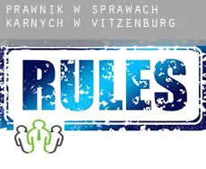 Prawnik w sprawach karnych w  Vitzenburg