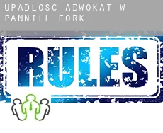 Upadłość adwokat w  Pannill Fork