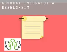 Adwokat imigracji w  Bebelsheim