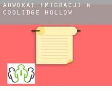 Adwokat imigracji w  Coolidge Hollow