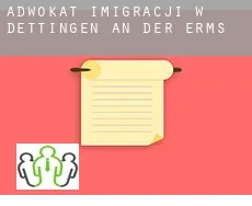 Adwokat imigracji w  Dettingen an der Erms