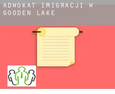 Adwokat imigracji w  Gooden Lake
