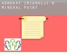 Adwokat imigracji w  Mineral Point