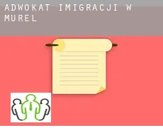 Adwokat imigracji w  Murel