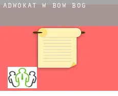 Adwokat w  Bow Bog