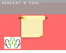 Adwokat w  Coal