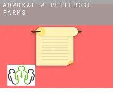 Adwokat w  Pettebone Farms
