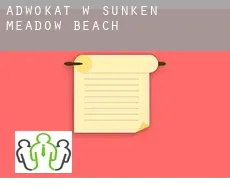 Adwokat w  Sunken Meadow Beach