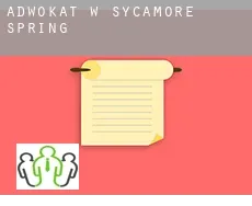 Adwokat w  Sycamore Spring