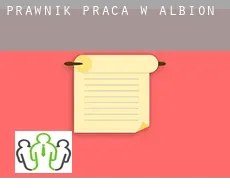 Prawnik praca w  Albion