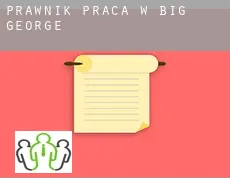 Prawnik praca w  Big George