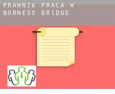 Prawnik praca w  Borness Bridge