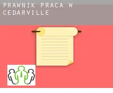 Prawnik praca w  Cedarville