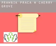 Prawnik praca w  Cherry Grove