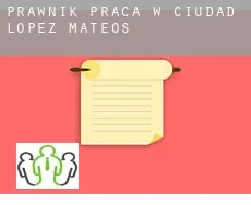 Prawnik praca w  Ciudad López Mateos