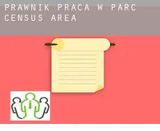 Prawnik praca w  Parc (census area)