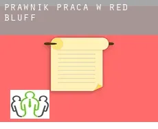 Prawnik praca w  Red Bluff