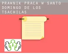 Prawnik praca w  Santo Domingo de los Tsachilas