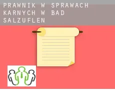 Prawnik w sprawach karnych w  Bad Salzuflen