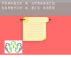 Prawnik w sprawach karnych w  Big Horn