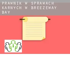 Prawnik w sprawach karnych w  Breezeway Bay