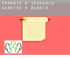 Prawnik w sprawach karnych w  Bubach