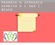 Prawnik w sprawach karnych w  C and C Beach