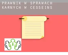 Prawnik w sprawach karnych w  Cesseins