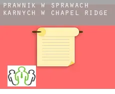 Prawnik w sprawach karnych w  Chapel Ridge