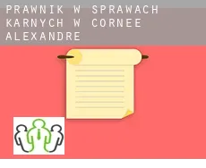 Prawnik w sprawach karnych w  Cornée-Alexandre