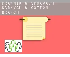 Prawnik w sprawach karnych w  Cotton Branch