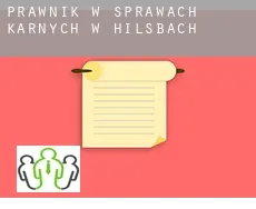 Prawnik w sprawach karnych w  Hilsbach