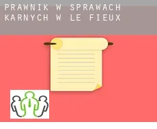 Prawnik w sprawach karnych w  Le Fieux