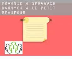 Prawnik w sprawach karnych w  Le Petit Beaufour