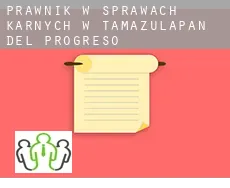 Prawnik w sprawach karnych w  Tamazulapan del Progreso