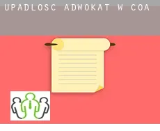 Upadłość adwokat w  Coa