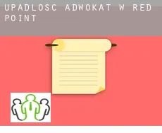 Upadłość adwokat w  Red Point